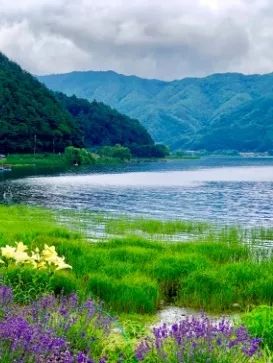 圖片關(guān)鍵詞