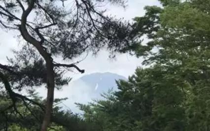 圖片關(guān)鍵詞
