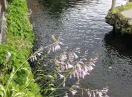 圖片關(guān)鍵詞