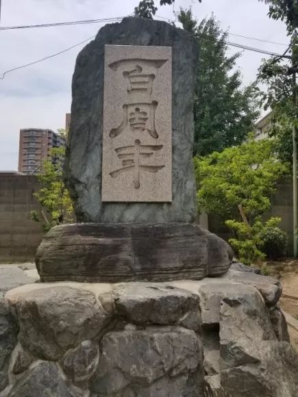 圖片關(guān)鍵詞